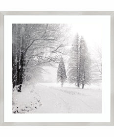 Let it Snow II BW by Sue Schlabach Wood Framed Wall Art Print (25  W x 25  H), Svelte Silver Frame