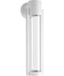 Z-1030 1-Light LED Medium Wall Lantern White