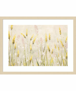 Actaea Simplex Flowers by Emma Coghlan Wood Framed Wall Art Print (25  W x 19  H), Svelte Natural Frame