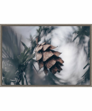 Framed Tree with Pinecone Macro by Nathan Larson Canvas Wall Art Print (33  W x 23  H), Sylvie Greywash Frame