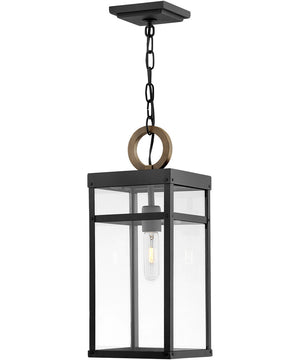 Porter 1-Light Medium LED Outdoor Hanging Lantern in Black