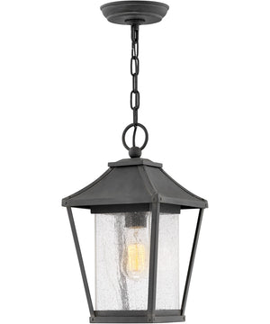 Palmer 1-Light Medium Outdoor Hanging Lantern in Museum Black