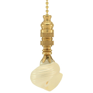 Silver Mouth Sea Shell Ceiling Fan Pull, 3"h with 12" Polished Brass Chain