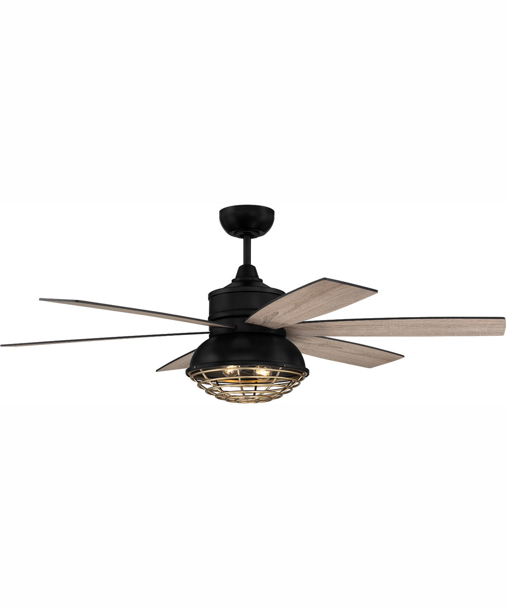 52" Rugged 2-Light Indoor/Outdoor Ceiling Fan Flat Black/Satin Brass