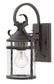 13"H Casa 1-Light Small Outdoor Wall Light in Olde Black with Clear Seedy