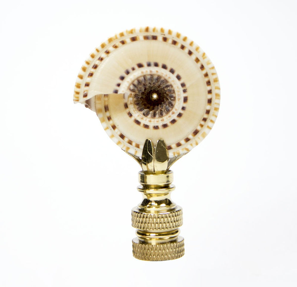 Sun Dial Shell Lamp Finial with Polished Brass Base 3"h