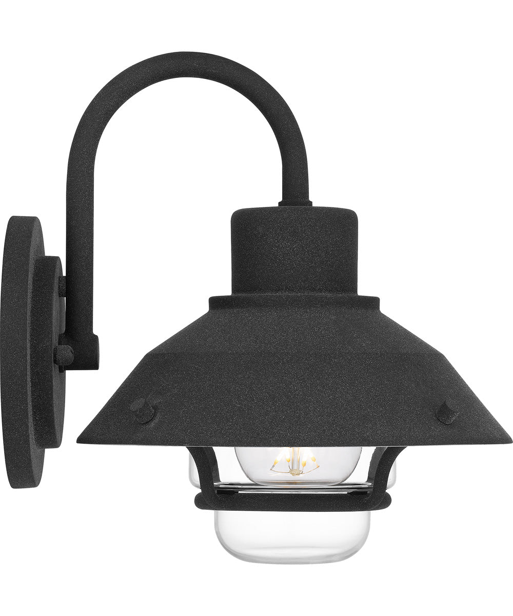 Lavalier Medium 1-light Outdoor Wall Light Mottled Black