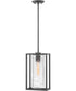 Pax 1-Light Medium Outdoor Hanging Lantern in Satin Black