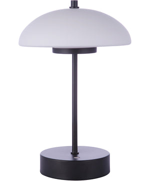 1-Light Table Lamp Flat Black