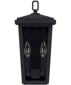 Donnelly 2-Light Outdoor Wall Mount In Black With Clear Glass
