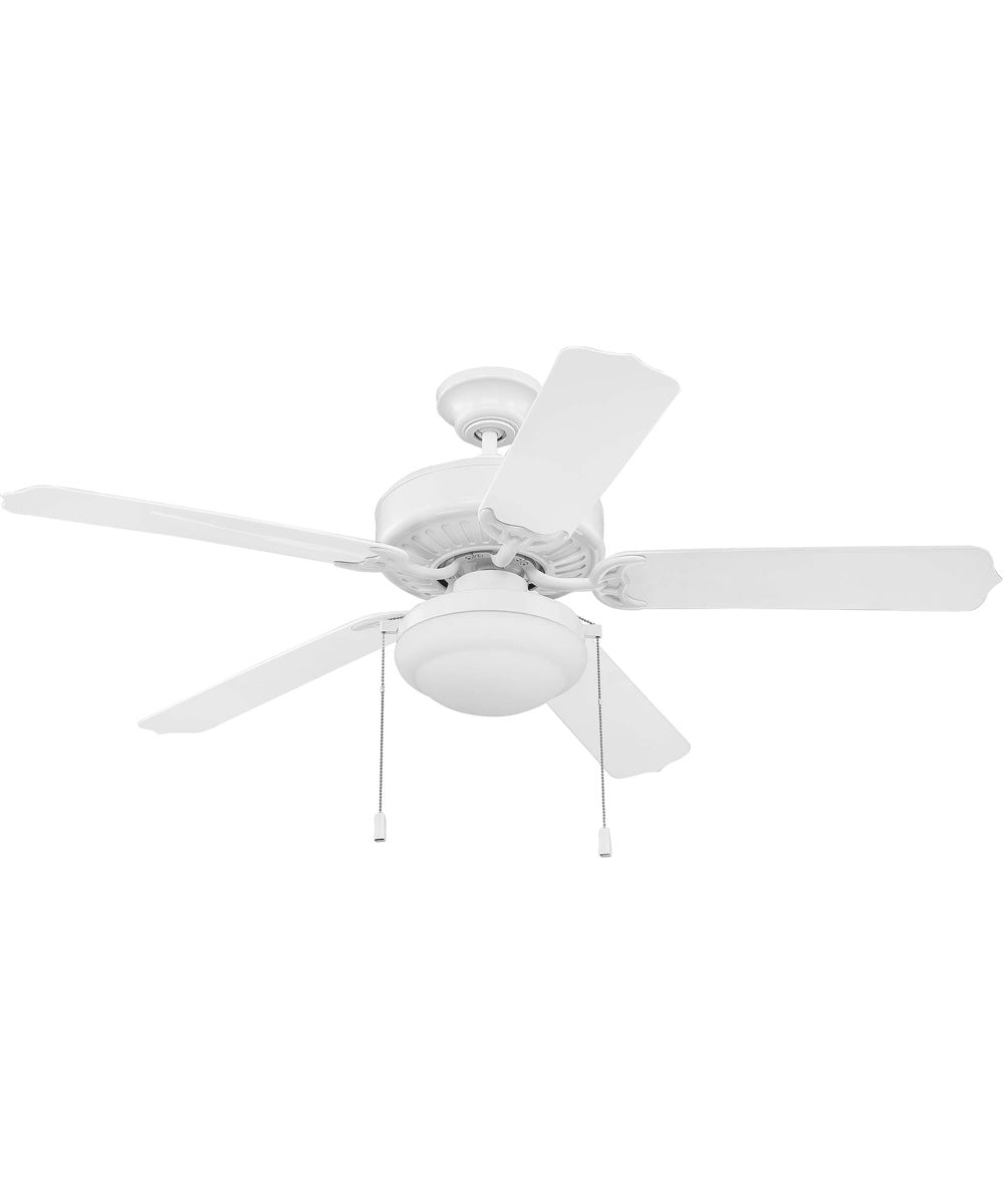 Enduro Plastic with Light Kit 2-Light LED Indoor/Outdoor Ceiling Fan (Blades Included) White