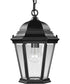 Welbourne 1-Light Hanging Lantern Textured Black