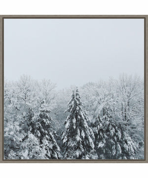 Framed Snowshoe Hill and Trees by Sue Schlabach Canvas Wall Art Print (30  W x 30  H), Sylvie Greywash Frame