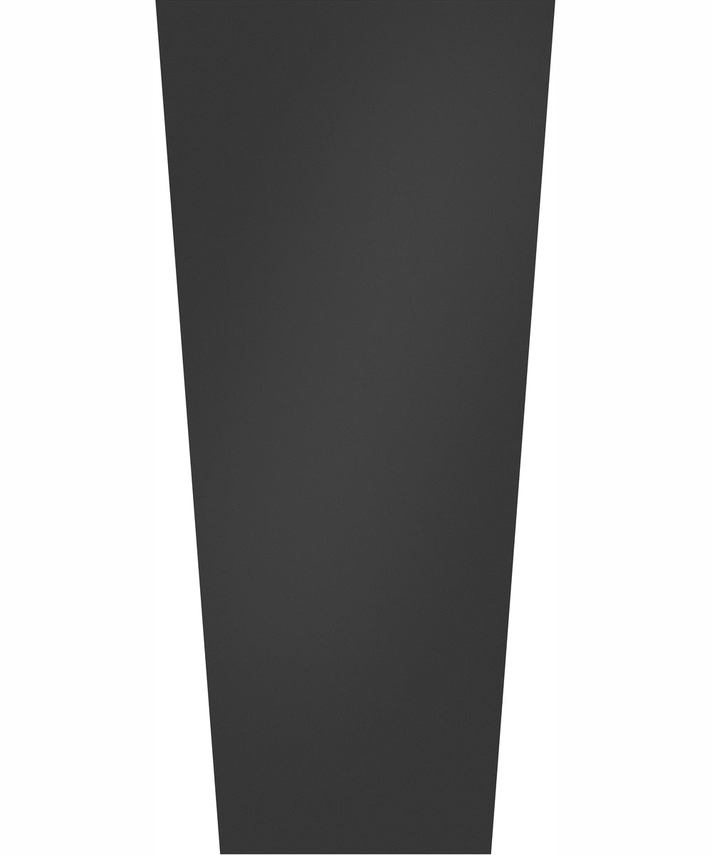 Cruz 2-Light Large Wall Mount Lantern in Black
