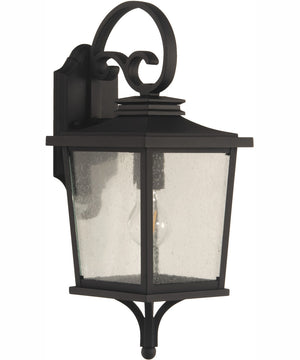 Tillman 1-Light Outdoor Wall Lantern Matte Black