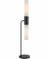 Dulance 2-Light 2-Light Floor Lamp Black/Frost Glass Shade