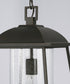 Durham 1-Light Outdoor Hanging-Lantern Oiled Bronze