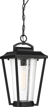 9"W Lakeview 1-Light Outdoor Aged Bronze / Clear