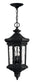 12"W Raley 4-Light LED Outdoor Hanging Light in Museum Black