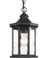 Edition 1-Light Hanging Lantern Textured Black