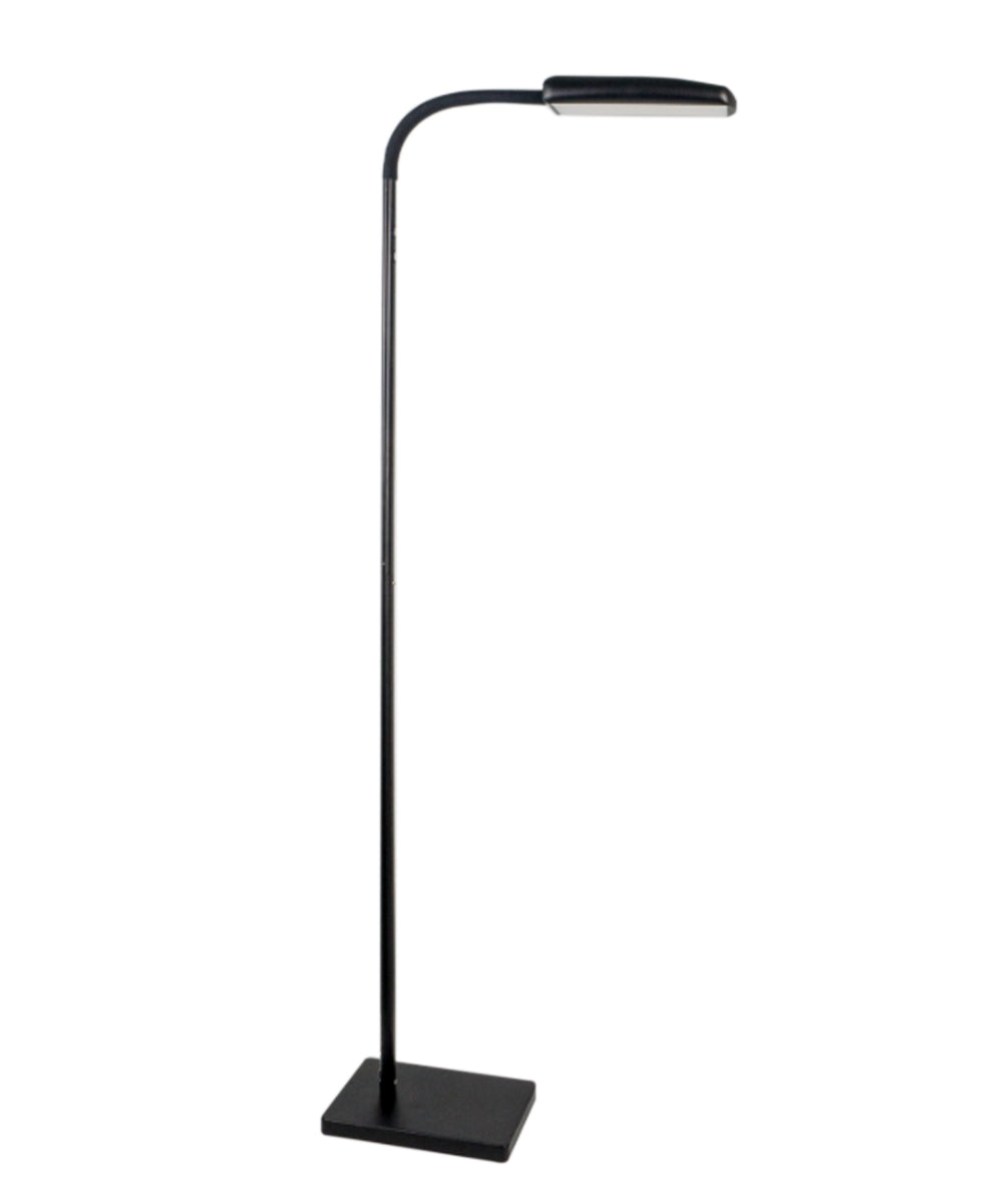 Varilum 30w LED Black Floor Lamp