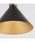1-light Pendant Matte Black w/ Aged Brass