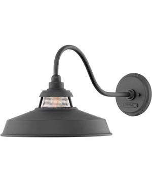 Troyer 1-Light Large Outdoor Wall Mount Lantern in Black