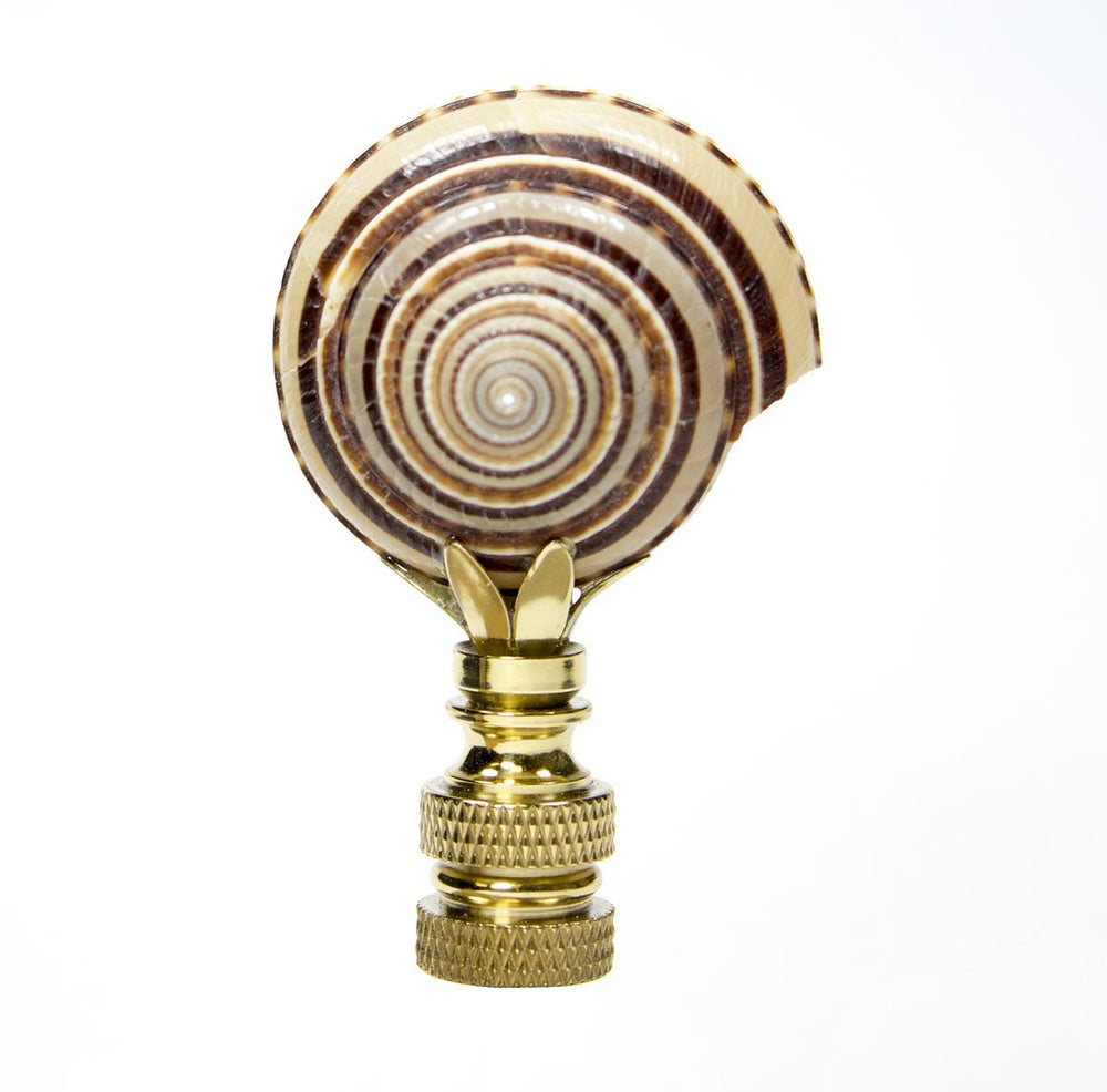 Sun Dial Shell Lamp Finial with Polished Brass Base 3"h