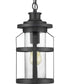 Haslett 1-Light Hanging Lantern Textured Black