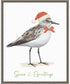 Framed Christmas Sandpiper I by Lucca Sheppard Canvas Wall Art Print (23  W x 28  H), Sylvie Greywash Frame