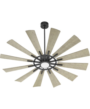 Cirque 1-light LED Indoor/Outdoor Patio Ceiling Fan Matte Black