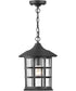 Freeport Coastal Elements 1-Light Large Outdoor Hanging Lantern in Textured Black
