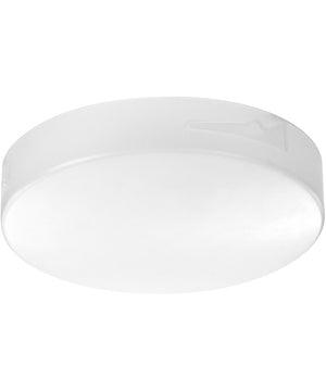 Dayton 1-light LED Ceiling Fan Light Kit n/a