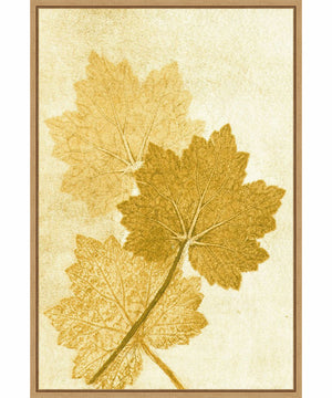 Framed Amber Leaves by Pernille Folcarelli Canvas Wall Art Print (23  W x 33  H), Sylvie Maple Frame