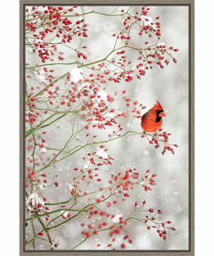 Framed Red Cardinal and Red Berries by Carrie Ann Grippo-pike Canvas Wall Art Print (23  W x 33  H), Sylvie Greywash Frame
