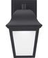 1-Light LED Small Wall Lantern Textured Black