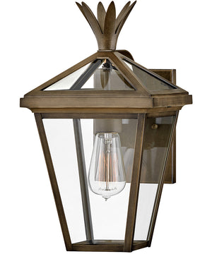 Palma 1-Light Small Outdoor Wall Mount Lantern in Burnished Bronze