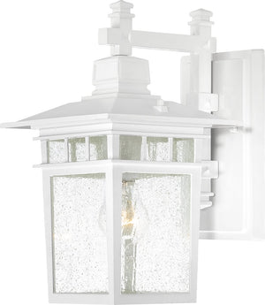 11"H Cove Neck 1-Light Outdoor White / Clear Seeded