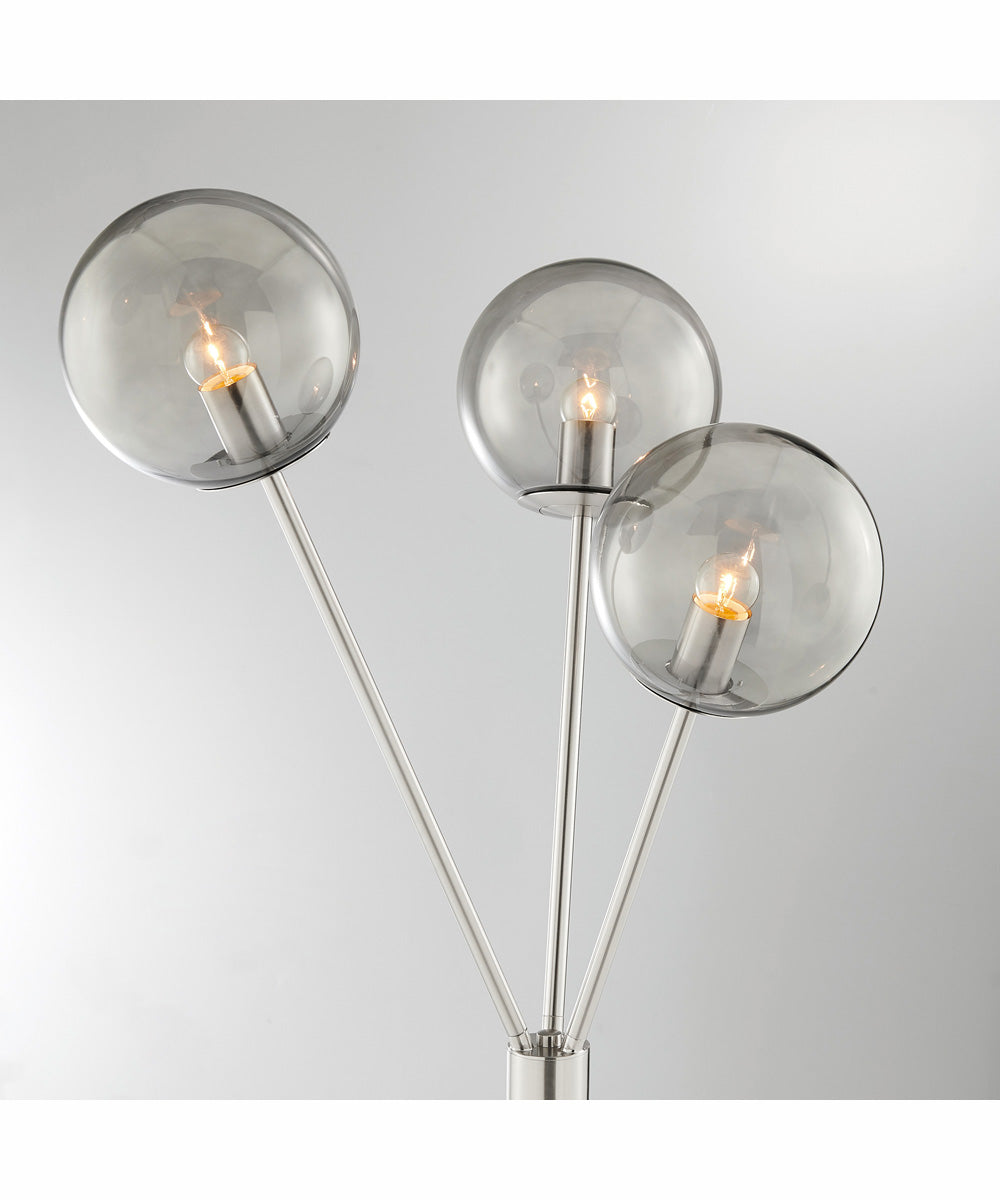 Lancy 3-Light 3-Light Floor Lamp Brushed Nickel/Smoke Glass