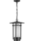 Exton 1-Light Etched Seeded Glass Modern Style Outdoor Hanging Pendant Lantern Textured Black
