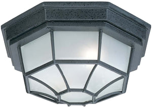 11"W 2 Lamp Outdoor Ceiling Light Black