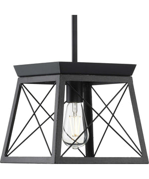Briarwood 1-Light Textured Cerused Black Farmhouse Style Hanging Mini-Pendant Light Textured Black