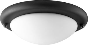 10"W 2 1-light LED Ceiling Fan Light Kit Noir