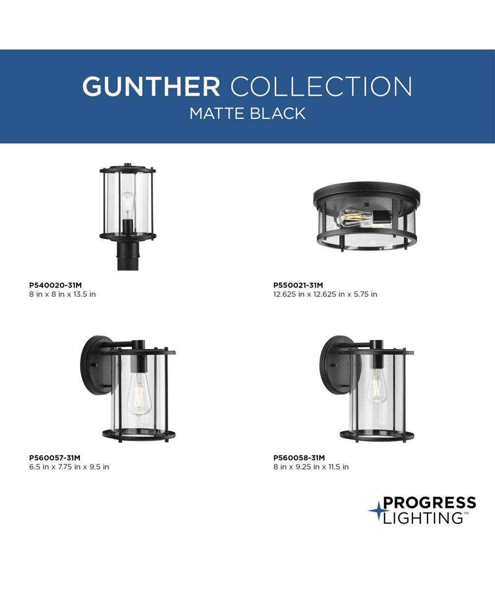 Gunther 1-Light Modern Farmhouse Post Lantern Matte Black
