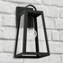 Leighton 1-Light Outdoor Wall-Lantern Black