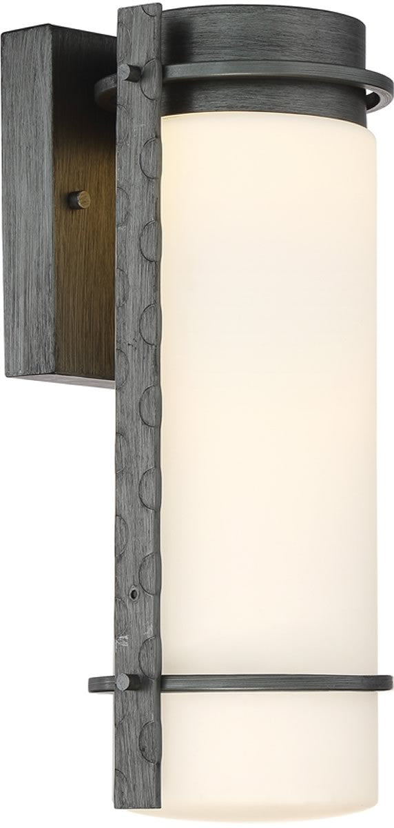 Designers Fountain Aldridge -Light Outdoor Wall Light Weathered Iron LED34311-WI