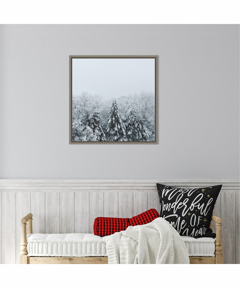 Framed Snowshoe Hill and Trees by Sue Schlabach Canvas Wall Art Print (22  W x 22  H), Sylvie Greywash Frame