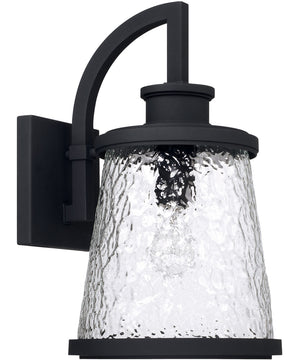 Tory 1-Light Outdoor Wall Mount In Black With Clear Organic Glass