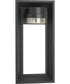 Z-1010 1-Light LED Wall Lantern Textured Black