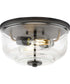 Rushton 2-Light Clear Glass Industrial Style Flush Mount Ceiling Light Graphite